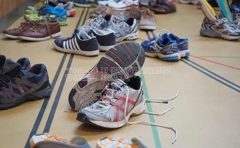 意昂2代理百度识图**2024 年 13 岁以下男童运动鞋：
引领潮流、舒适至上**