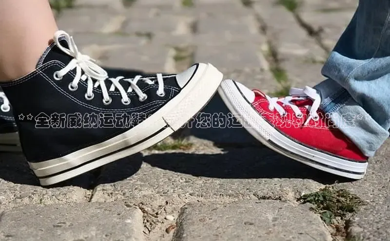 意昂2账号登录入口百度数据开放平台**全新威纳运动鞋：提升您的运动表现和时尚度**