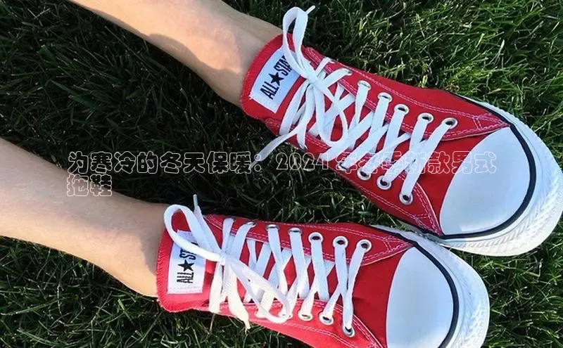 意昂2注册轻美电器为寒冷的冬天保暖：2024 年冬季新款男式
拖鞋