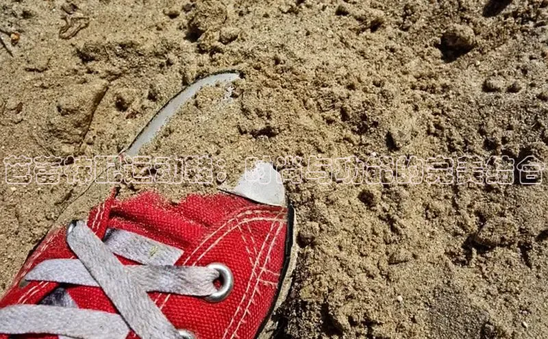 意昂2百度翻译App芭蕾袜配运动鞋：时尚与功能的完美结合