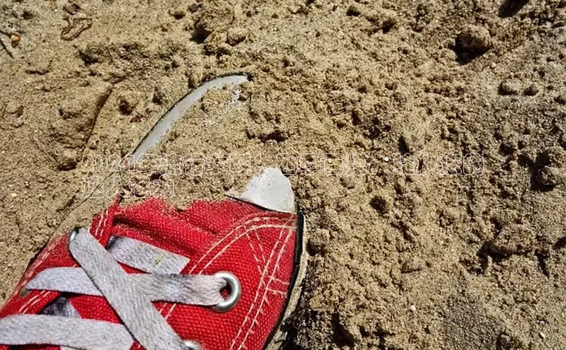 意昂2登录阿里尔公司2024年流行女鞋：四季百搭，绽放您的
迷人魅力