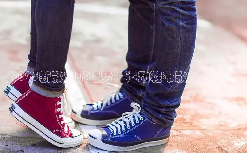 2025新款潮流趋势：运动鞋布款爆款亮点